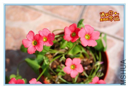 ��Ƭ 095_����.jpg