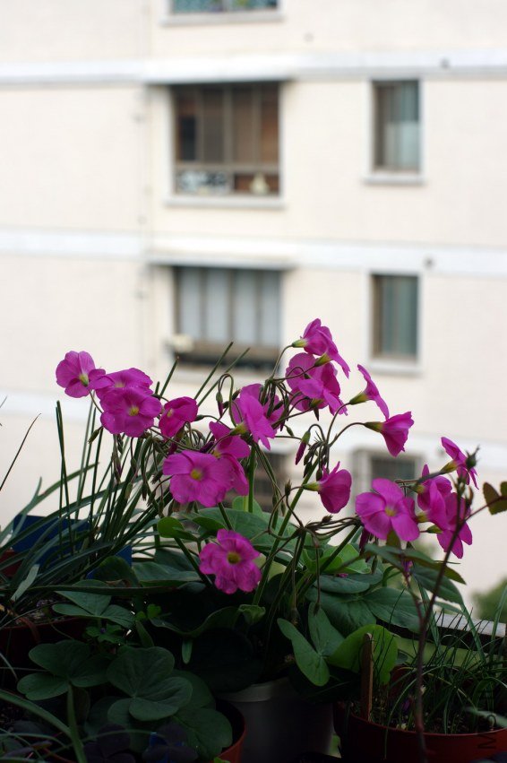 ZQ108158.jpg