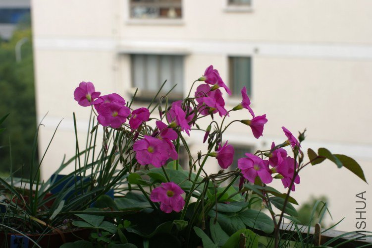 ZQ108159.jpg