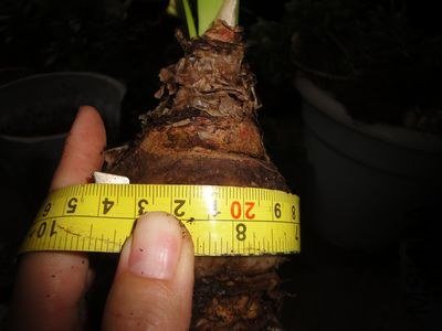 ����24CM.jpg