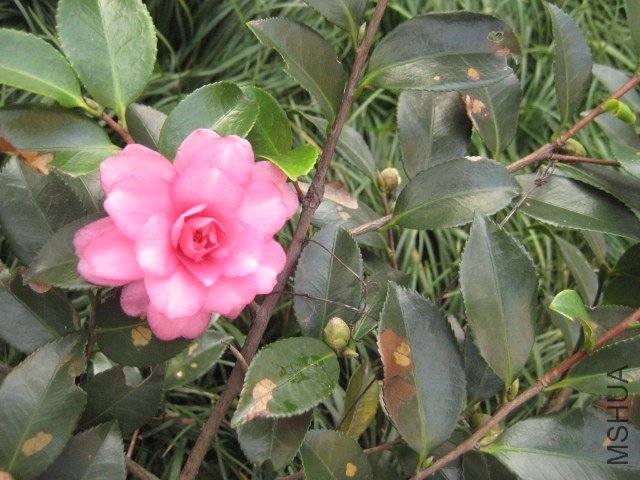 IMG_8769.JPG