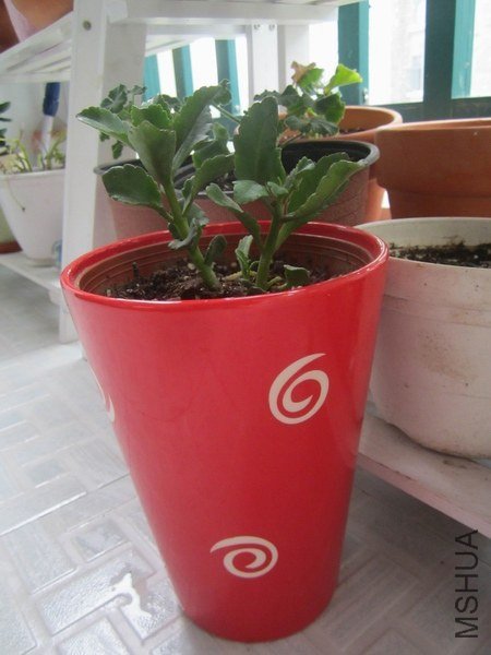 ��ת 2012-10-20 084.jpg