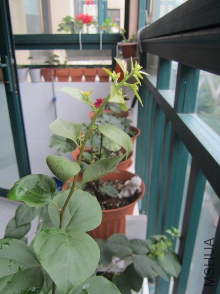 ��ת 2012-10-20 086.jpg