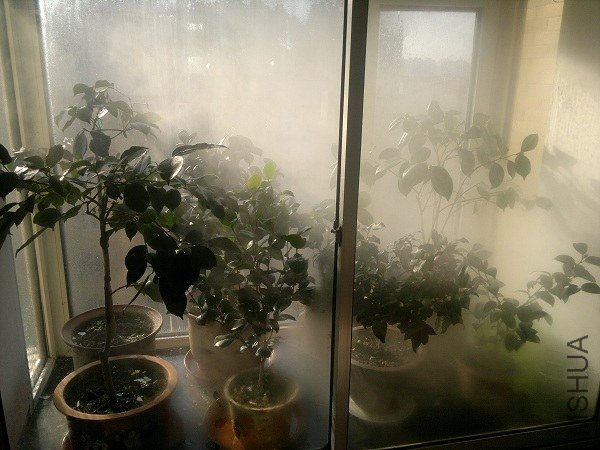 20121029.jpg