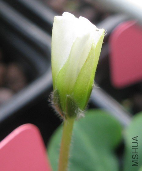 QQ��ͼ20121028230420.jpg