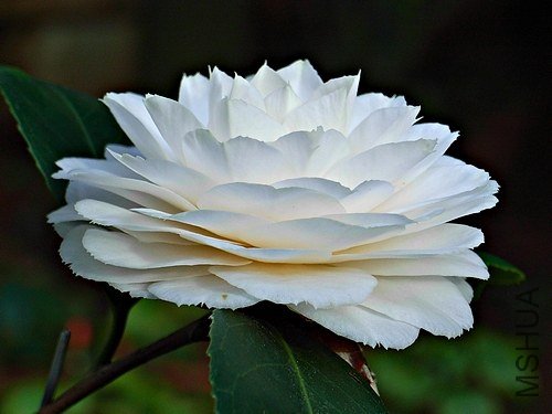 ǧ��֮�� 4.JPG