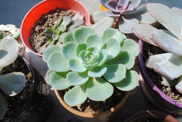 DSC_0634.jpg