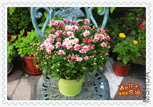 ��Ƭ 029_����.jpg