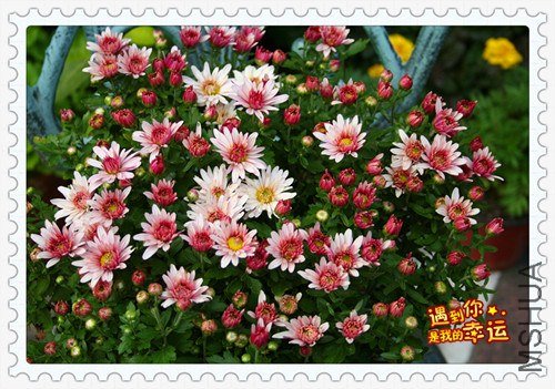 ��Ƭ 031_����.jpg