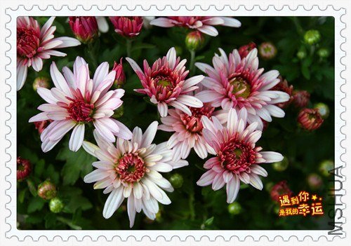 ��Ƭ 033_����.jpg