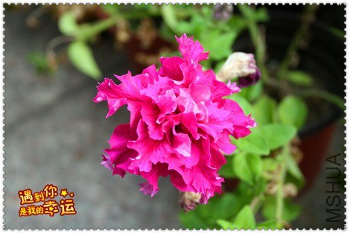 ��Ƭ 070_����.jpg