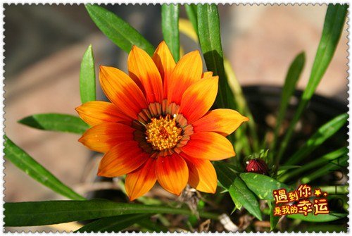 ��Ƭ 192_����.jpg