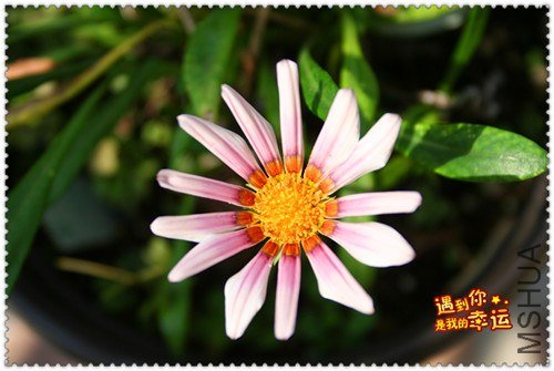 ��Ƭ 194_����1.jpg