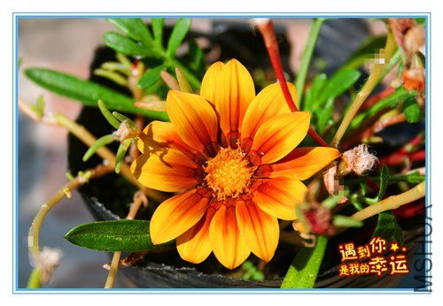 ��Ƭ 194_����2.jpg