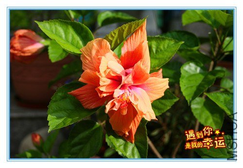 ��Ƭ 002_����.jpg