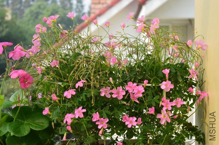 ������20121028 001.JPG