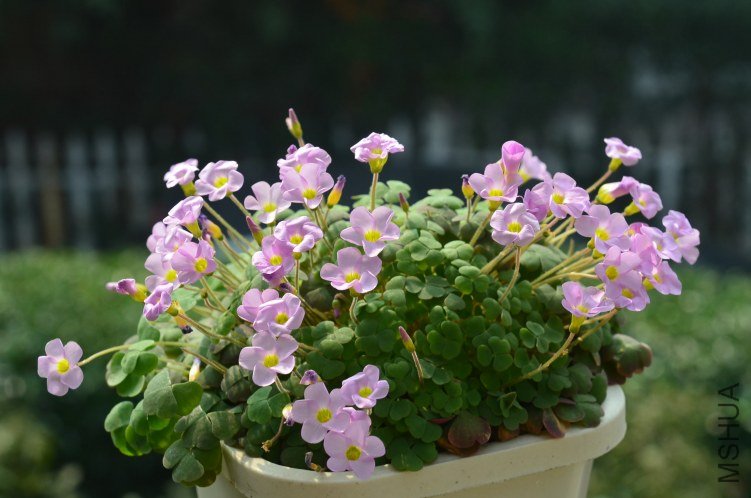 ����20121028 002.JPG