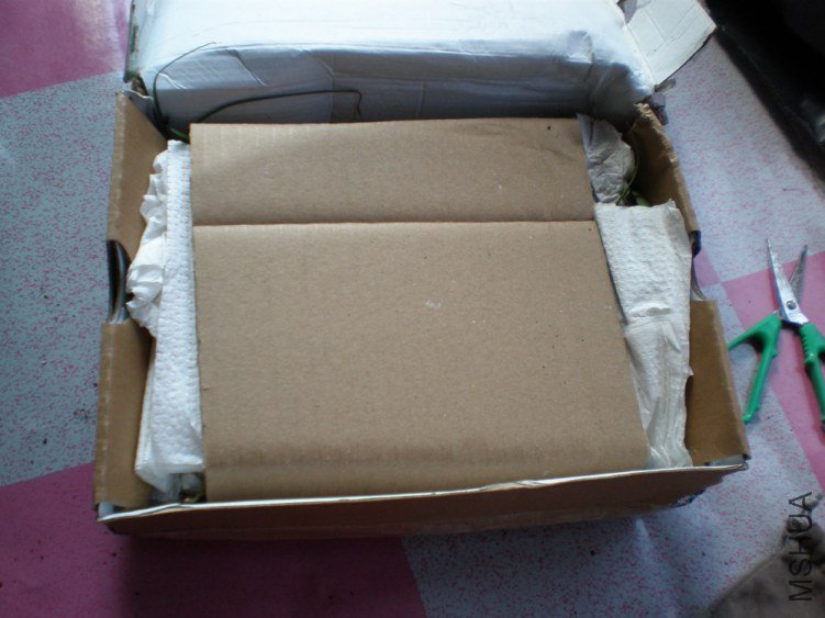 P1010024.JPG