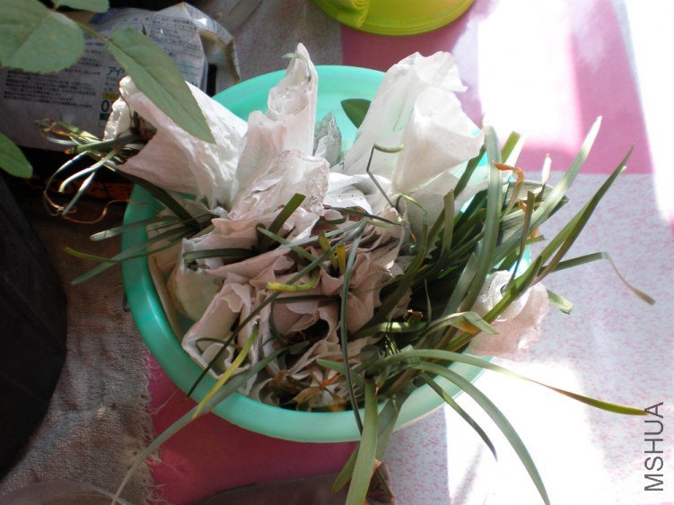 P1010028.JPG
