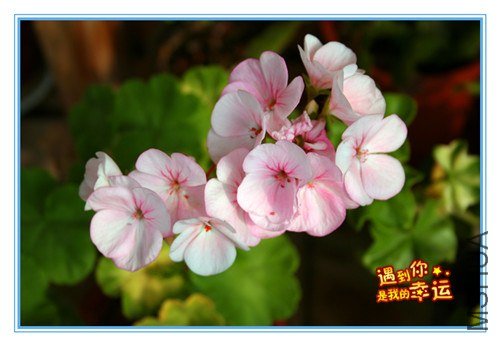 ��Ƭ 022_����.jpg