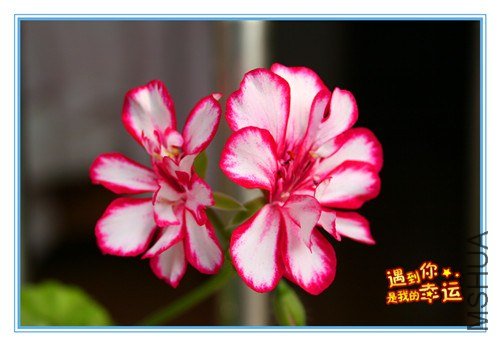 ��Ƭ 005_����.jpg