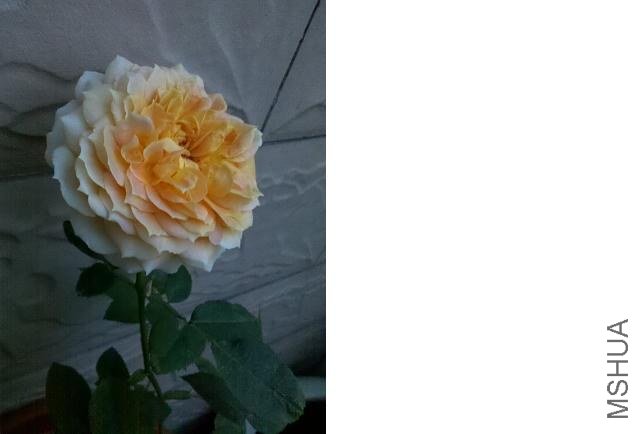 ���ǳ���2(�����ĵ�)