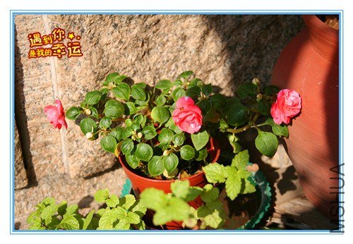 ��Ƭ 040_����.jpg