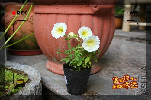 ��Ƭ 067_����.jpg