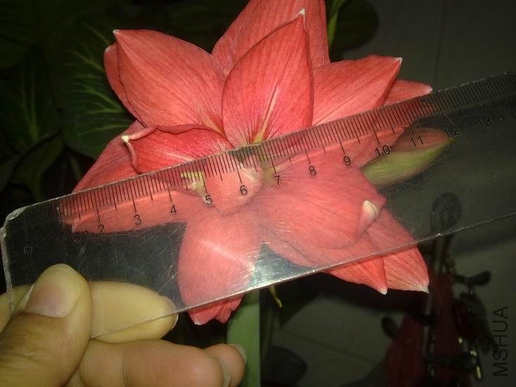 ����ֱ����12���֣��Ƚ�С