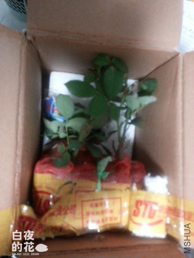 20121030_171330.jpg