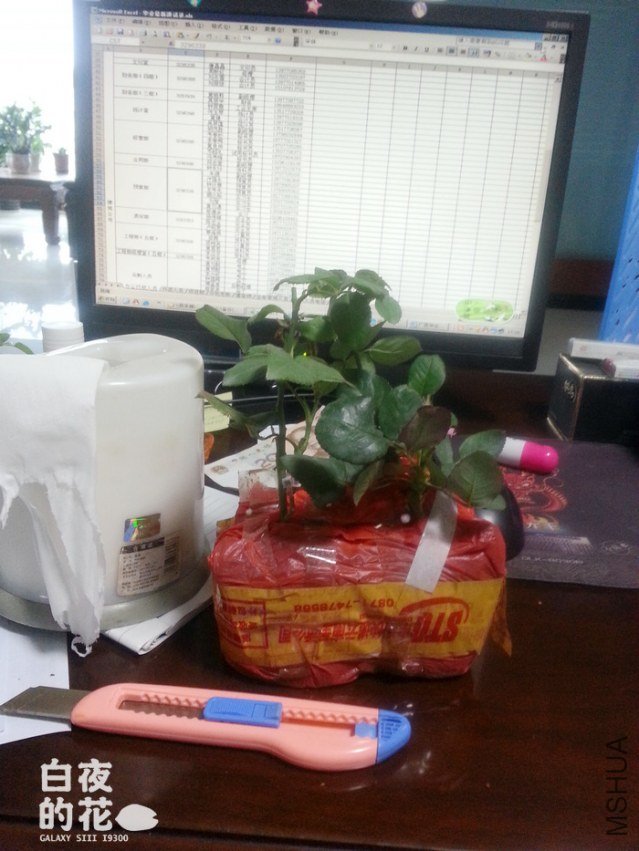 20121030_171618.jpg