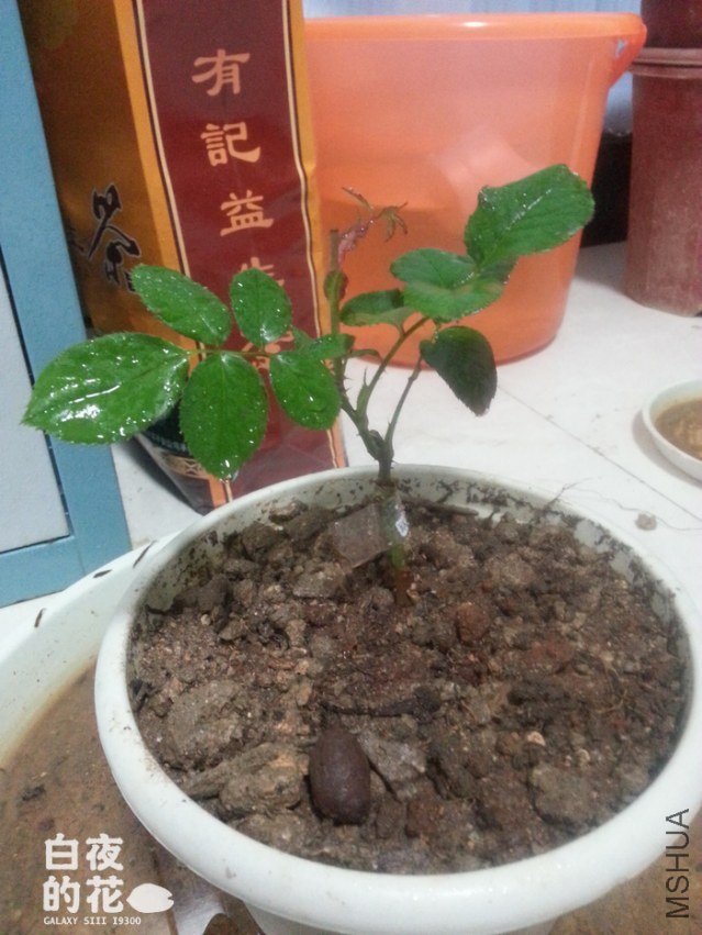 20121030_185513.jpg