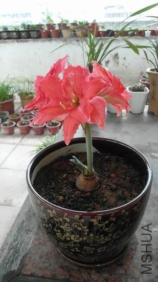 ������С ��ת SAM_0362.JPG