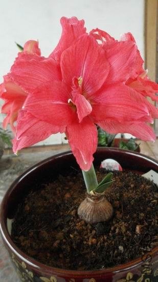 ������С ��ת SAM_0371.JPG