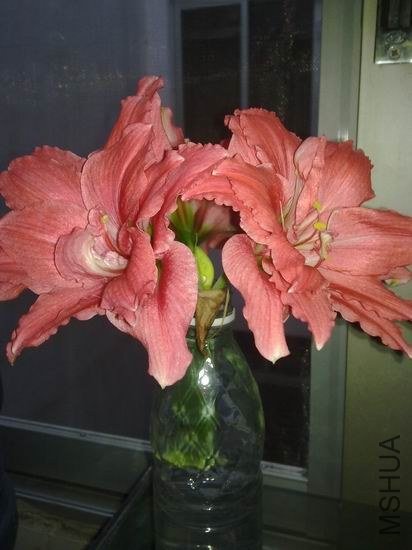 ������С 201210304099.jpg