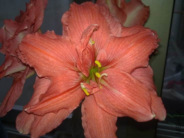 ������С ��ת 201210304062.jpg