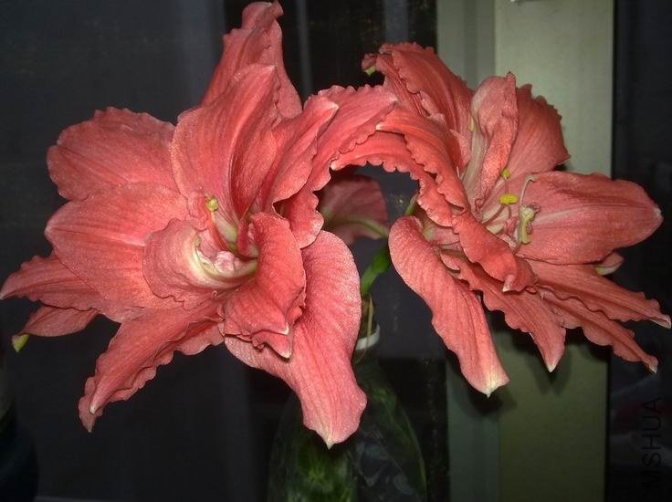 ������С ��ת 201210304100.jpg