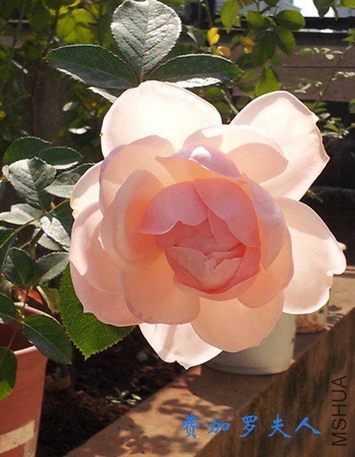 20121027_113147.jpg