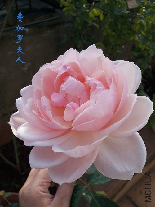 20121028_090001.jpg