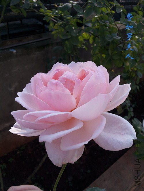 20121028_090014.jpg