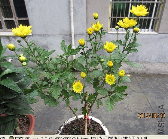 �׻�ʱ��