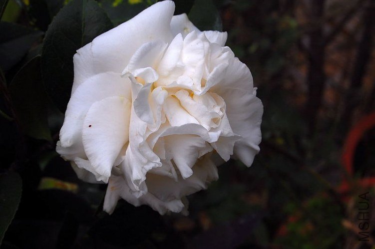 DSC_00220022.JPG