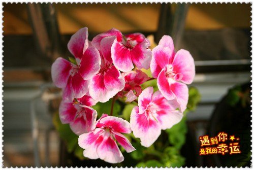 ��Ƭ 001_����.jpg