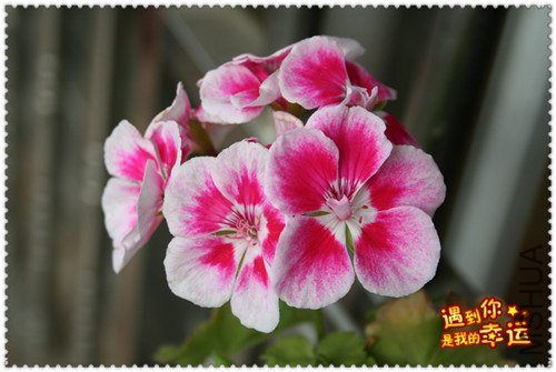 ��Ƭ 001_����1.jpg