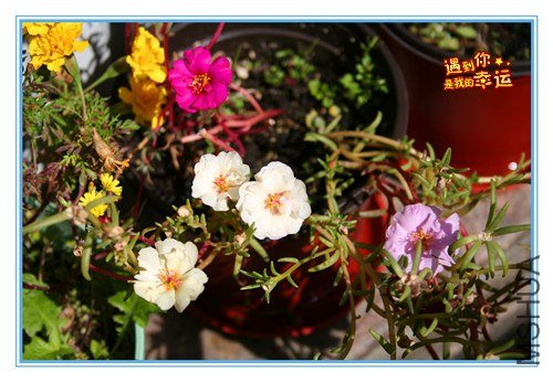 ��Ƭ 032_����.jpg