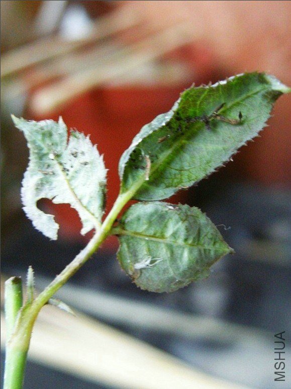 2012.10.17���D