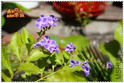 ��Ƭ 014_����.jpg