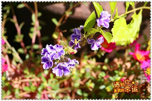 ��Ƭ 018_����.jpg