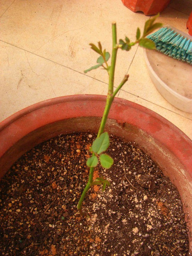 ���D1028_2.jpg