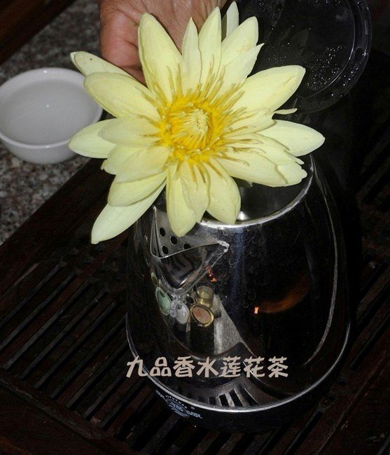 DSC_0174 ����1.jpg